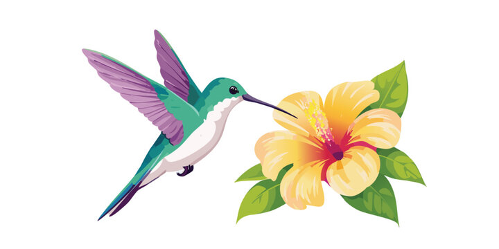 High Quality hummingbird with Vector Design Print Ready EPS & JPG Files for POD & Stock Use