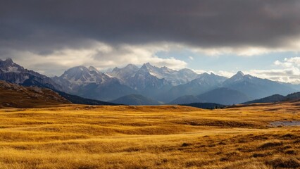 Tall mountains with snowy peaks and a vibrant yellow meadow in front.