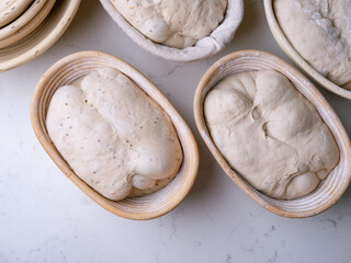 Sourdough Bread in Proofing basket, bannetons baskets for retarding raw dough before baking.
