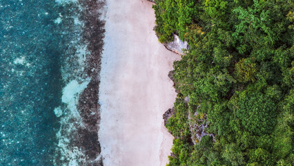 Rocky cliffs and tropical trees border a stunning turquoise coastline. summer background and summer...