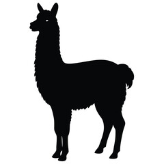 llama cartoon illustration vector design, Stylish llama silhouette set for creative artistic purposes, Llama illustration, minimalist llama vector, alpaca silhouette vector illustration.