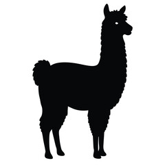 Fototapeta premium llama cartoon illustration vector design, Stylish llama silhouette set for creative artistic purposes, Llama illustration, minimalist llama vector, alpaca silhouette vector illustration.