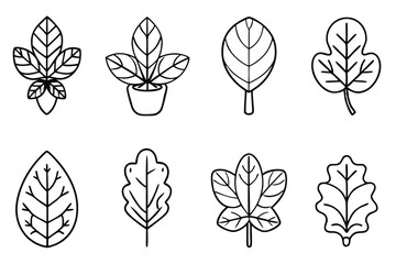 Fiddle Leaf Line Art Beautiful Design for Home Wall Decor 