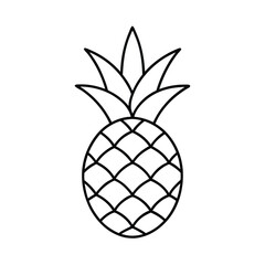 Fototapeta premium vector illustration of pineapple