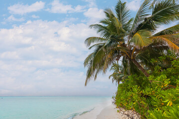 Fototapeta premium Indian Ocean coast in the Maldives