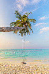 Swing on a palm tree on the ocean shore