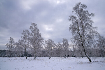 Eifel landscape, North Rhine Westphalia, Germany