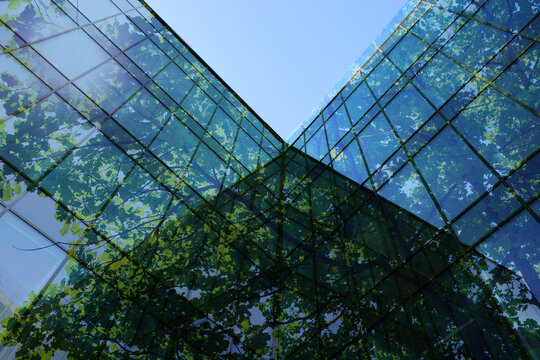 Modern building and lush tree against blue sky, double exposure. Low angle view