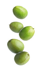Fresh guava fruits falling on white background
