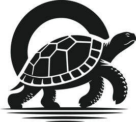 Vector turtle animal silhouette