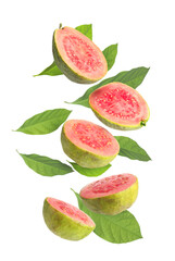 Fresh guavas. Pieces of fruits and leaves flying on white background