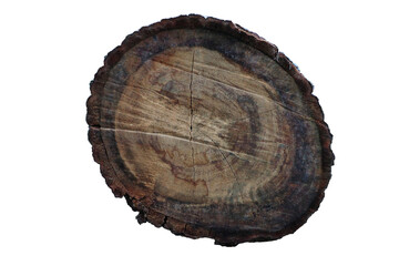 tree stump wood trunk Isolated background object wallpaper high quality on transparent 