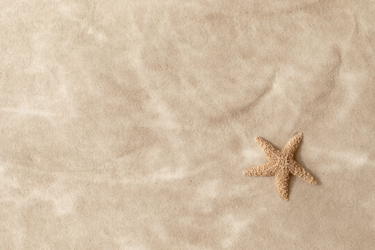 Sandy beach with beige starfish as natural textured background for summer travel and vacation design