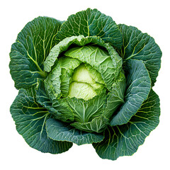 Obraz premium A large cabbage, with its leaves spread out like petals to form the shape of an elegant flower, is displayed on a transparent background. png