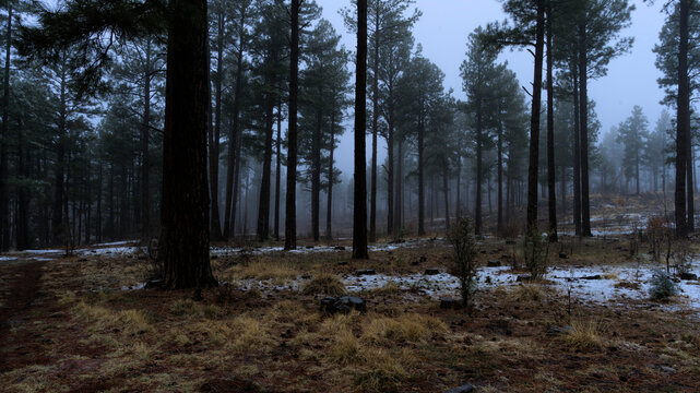 Spring Snow in the Mountains