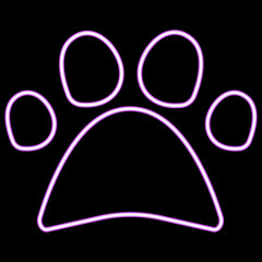 Neon icon paw print on black background
Vector neon paw print of dog cat