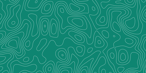 Utilizing Topography for Effective Wayfinding and Navigation in Complex Environments
