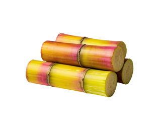 Cut Cylindrical Sugarcane Segments in Gradient Colors of Green, Yellow, and Pink with Fibrous Texture Revealed on Ends PNG Isolated Transparent White Background Stock Object Photo Download
