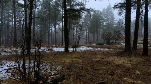 Spring Snow in the Mountains