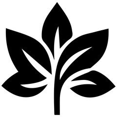 Elegant abstract summer leaf for stylish vector designs