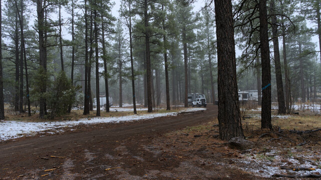 Spring Snow in the Mountains