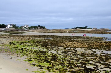Beach at low tide in Brittany in France, Europe
