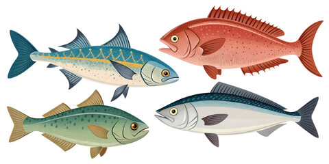 Various fish isolated on transparent background