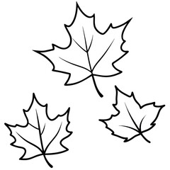 Obraz premium Three Maple Leaves Vector Art in Varying Sizes