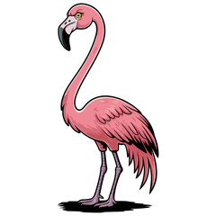 Flamingo bird vector