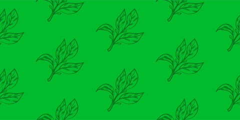 tea leaves pattern background. green leaves vector pattern background. Green tea leaf seamless pattern. seamless patterns with green leaves of tea.
