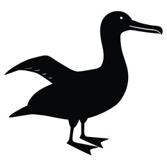 Albatross set silhouette vector illustration, Albatross vector design, albatross line art silhouette vector illustration, albatross silhouette line art vector illustration, albatross silhouette vector