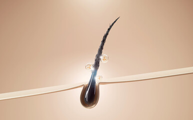 3D illustration of a hair follicle treated with nourishing molecules, representing advanced dermocosmetic innovation and deep care.