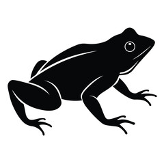 Amphibian silhouette line art vector illustration with a white background, Amphibian Silhouette Vector Perfect for Amphibian Wildlife Art and Design, frog icon silhouette on white background.
