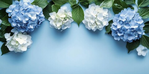 Elegant arrangement of large blue and white hydrangeas against a serene backdrop, ideal for greeting cards, invitations, or botanical designs for events and holidays.