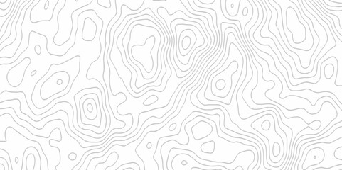 White topography topology vector white background fresh contour map texture. white seamless pattern Abstract background with a wave Topography and geography map grid abstract backdrop.