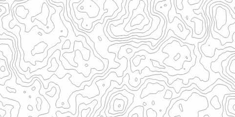 White topography topology vector white background fresh contour map texture. white seamless pattern Abstract background with a wave Topography and geography map grid abstract backdrop.