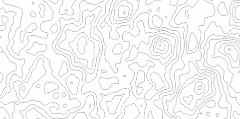 White topography topology vector white background fresh contour map texture. white seamless pattern Abstract background with a wave Topography and geography map grid abstract backdrop.