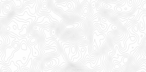 White topography topology vector white background fresh contour map texture. white seamless pattern Abstract background with a wave Topography and geography map grid abstract backdrop.