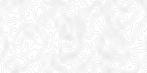 Obraz premium White topography topology vector white background fresh contour map texture. white seamless pattern Abstract background with a wave Topography and geography map grid abstract backdrop.