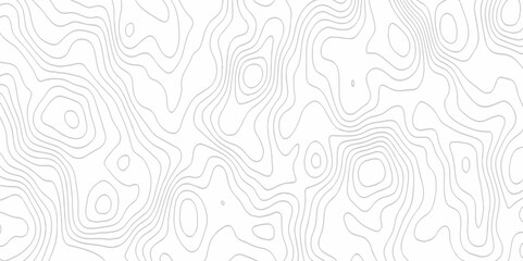 White topography topology vector white background fresh contour map texture. white seamless pattern Abstract background with a wave Topography and geography map grid abstract backdrop.