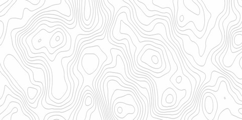 White topography topology vector white background fresh contour map texture. white seamless pattern Abstract background with a wave Topography and geography map grid abstract backdrop.