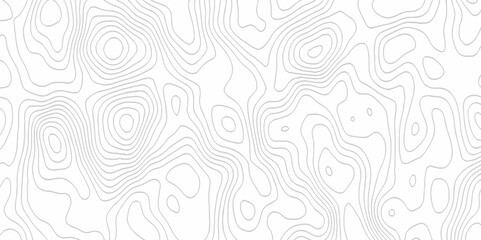 Fototapeta premium White topography topology vector white background fresh contour map texture. white seamless pattern Abstract background with a wave Topography and geography map grid abstract backdrop.
