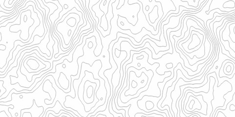 White topography topology vector white background fresh contour map texture. white seamless pattern Abstract background with a wave Topography and geography map grid abstract backdrop.