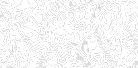 White topography topology vector white background fresh contour map texture. white seamless pattern Abstract background with a wave Topography and geography map grid abstract backdrop.