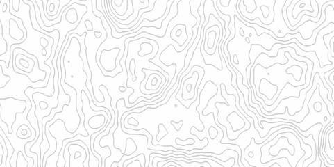 Fototapeta premium White topography topology vector white background fresh contour map texture. white seamless pattern Abstract background with a wave Topography and geography map grid abstract backdrop.