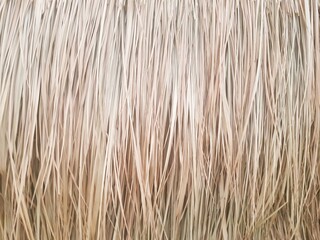 Abstract texture of natural straw, evoking a sense of rustic simplicity and warmth