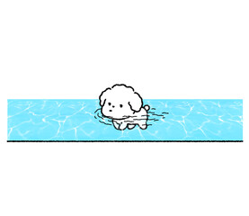 개헤엄 © 평화 김