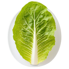 Fototapeta premium Delicate late leaf beautifully arranged on a white plate creating an elegant presentation for culinary artistry isolated on transparent background..