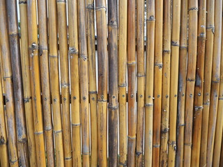A rustic bamboo fence showing detailed texture and natural beauty. The individual stalks are tightly bound together