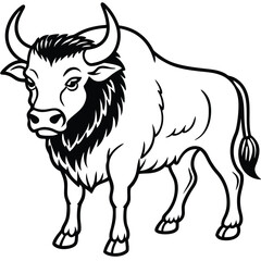 black and white bull
